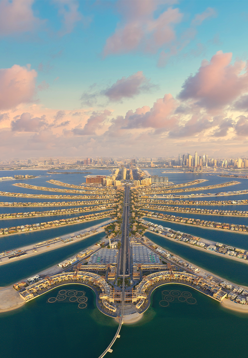 view the palm dubai